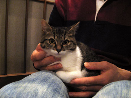 081225_04.jpg