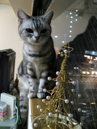 081225_12.jpg
