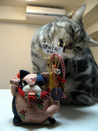 081226_01.jpg