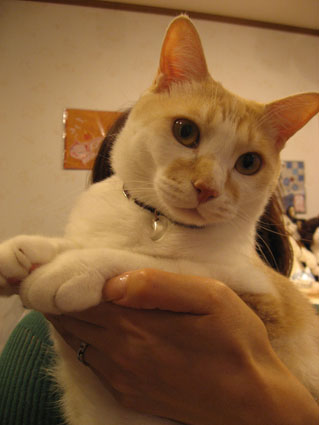 081230_03.jpg