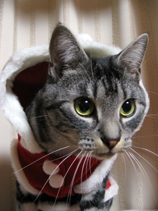 081230_08.jpg