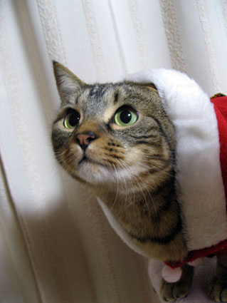 081230_09.jpg
