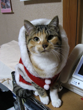 081230_10.jpg