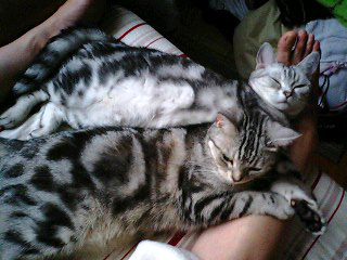 090630_02.jpg