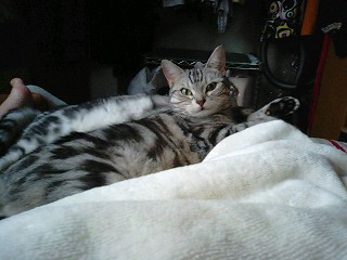 090630_03.jpg