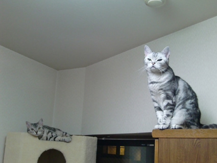 090702_01.jpg