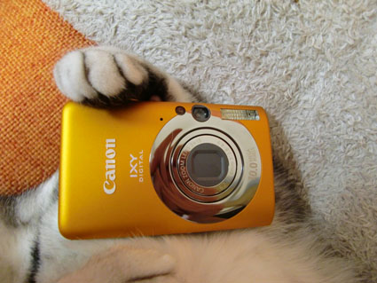 090705_04.jpg
