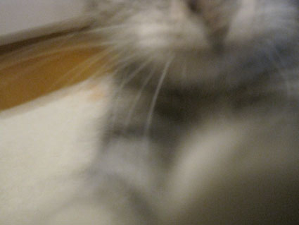 090729_02.jpg