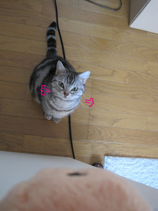 100225_03.jpg