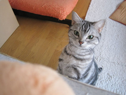 100225_05.jpg
