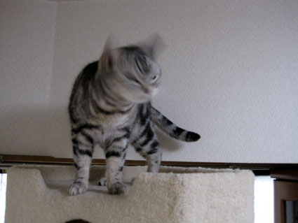 100302_03.jpg
