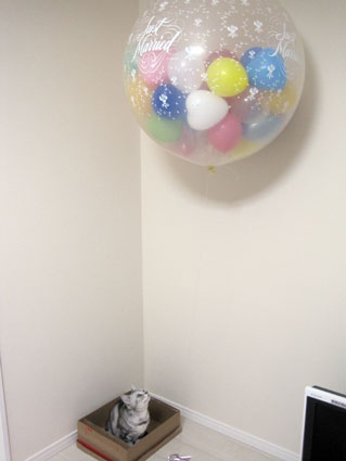 100320_03.jpg