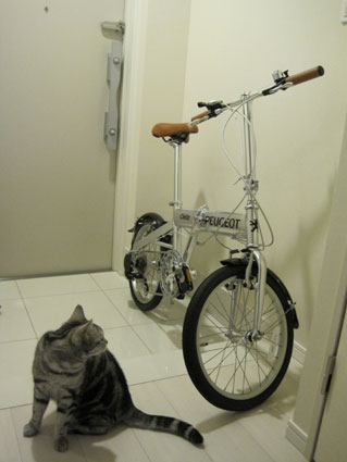 100324_03.jpg
