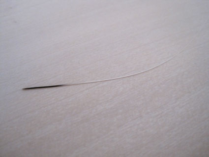 100325_01.jpg