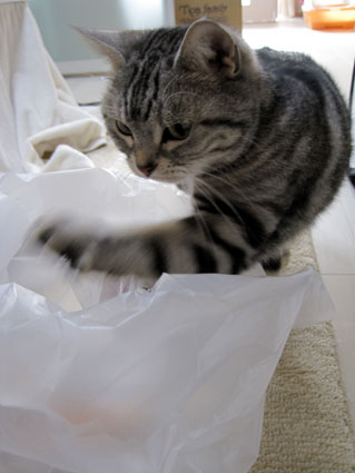 100329_03.jpg