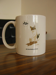 100430_03.jpg