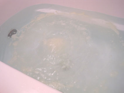 100508_05.jpg