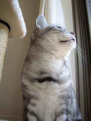100513_06.jpg