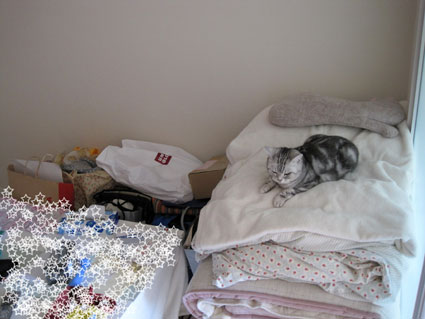 100515_02.jpg