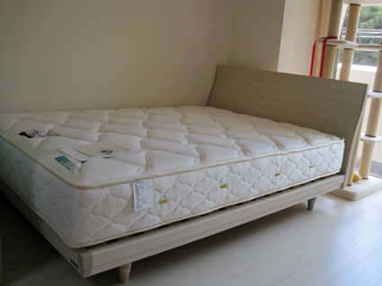 100515_03.jpg