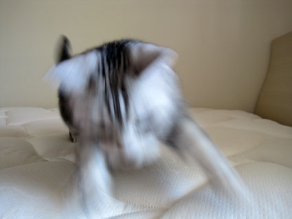 100515_07.jpg