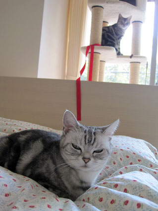 100520_01.jpg