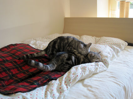 110102_01.jpg