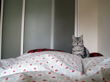 110104_01.jpg