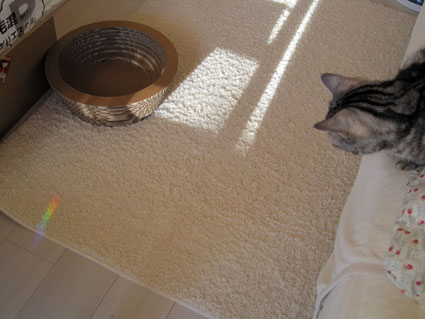 110108_06.jpg