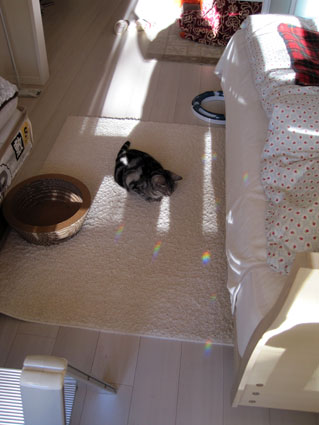 110108_07.jpg