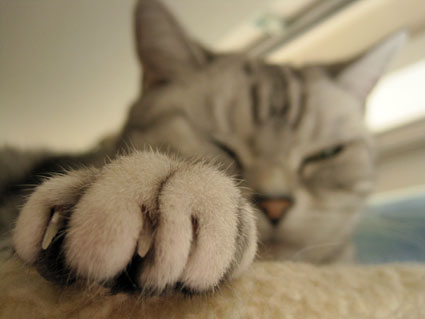 110109_04.jpg