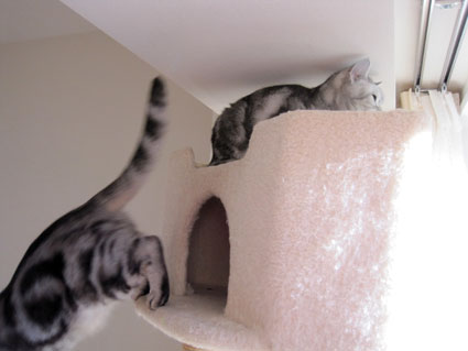 110114_02.jpg