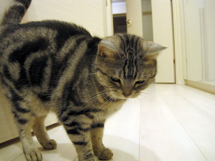 110118_01.jpg