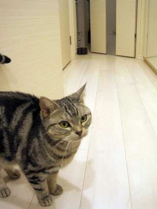110118_02.jpg