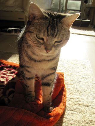 110119_01.jpg