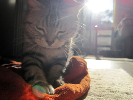 110119_02.jpg
