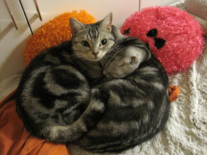 110122_02.jpg