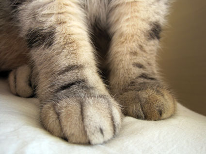 110331_05.jpg