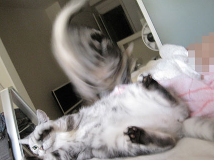 110830_02.jpg
