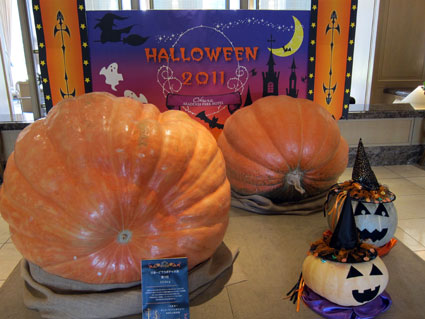 111001_07.jpg