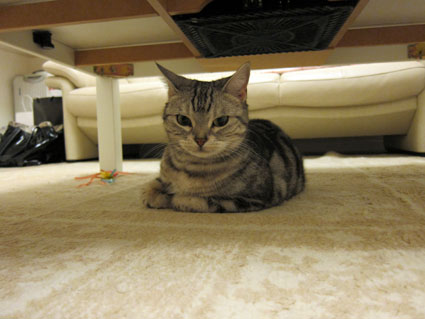 111002_08.jpg