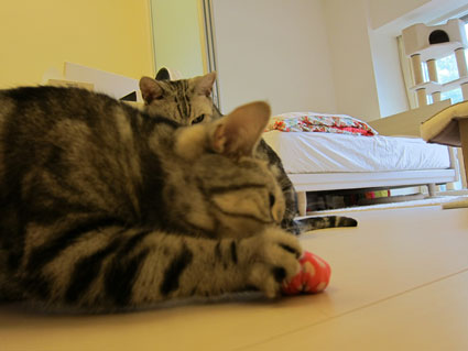 111003_07.jpg