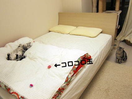 111004_02.jpg