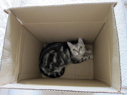 111005_01.jpg