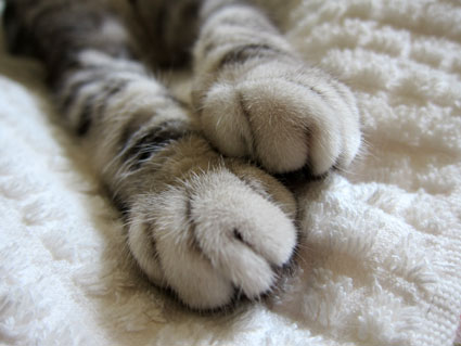111005_07.jpg