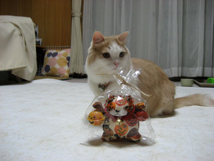 111006_11.jpg