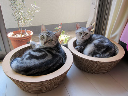 111007_01.jpg