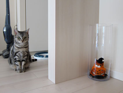 111007_10.jpg