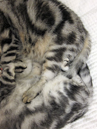 111008_04.jpg