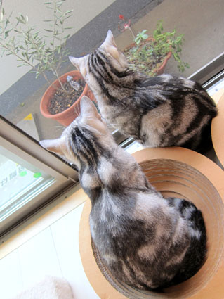 111009_05.jpg